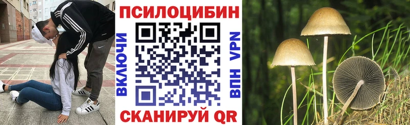 купить  сайты  мега зеркало  Галлюциногенные грибы Cubensis  Нижневартовск 
